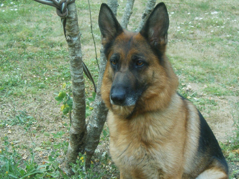Gundula Von tronje
